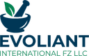 Evoliant International FZ LLC logo